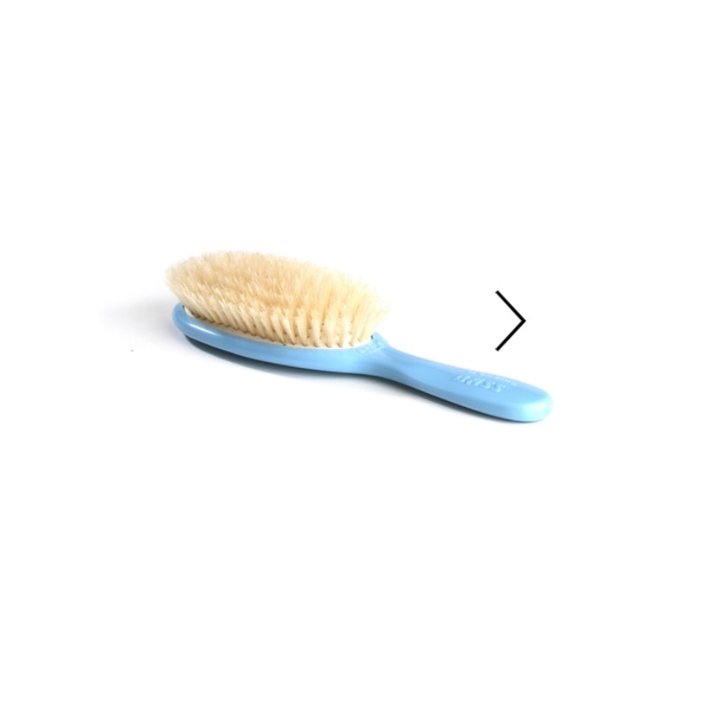 Brand New Bass Baby Blue Brush